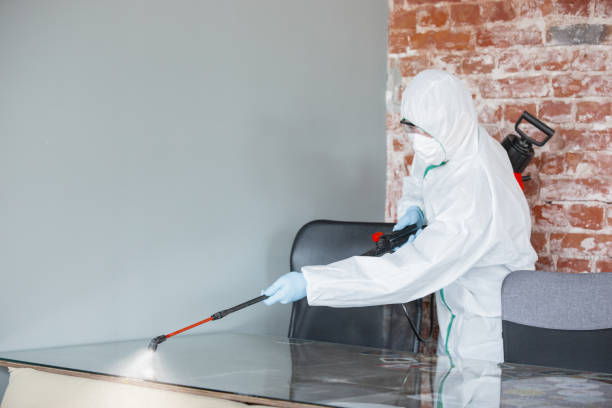 Best Forensic Mold Investigation in Oak Park, CA