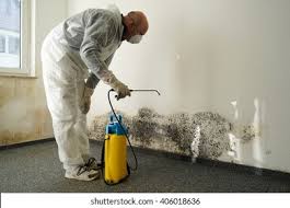 Best Water Damage & Mold Remediation in Oak Park, CA